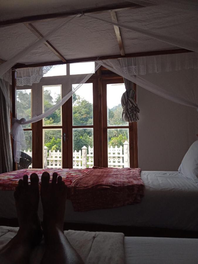 Village Nest Ела Екстериор снимка